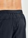 Мужские шорты ADV Essence 2" Stretch Shorts M 7318573299480 фото 4