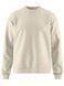 Мужская кофта ADV Join RN Sweatshirt Man 4684545654 фото